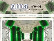 Tablet Screenshot of amsintegral.com